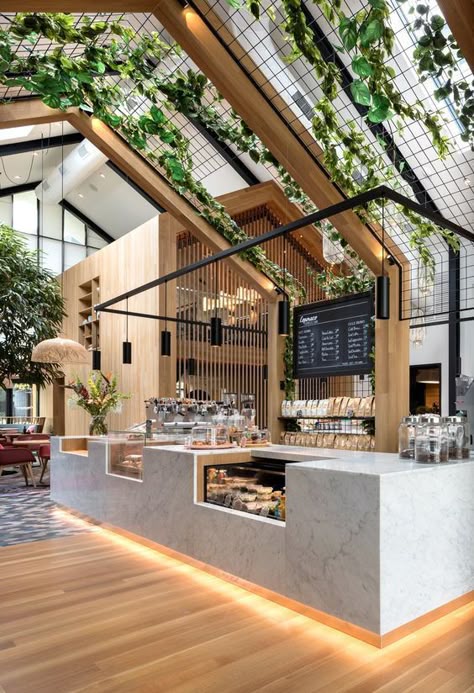 Cafe interior